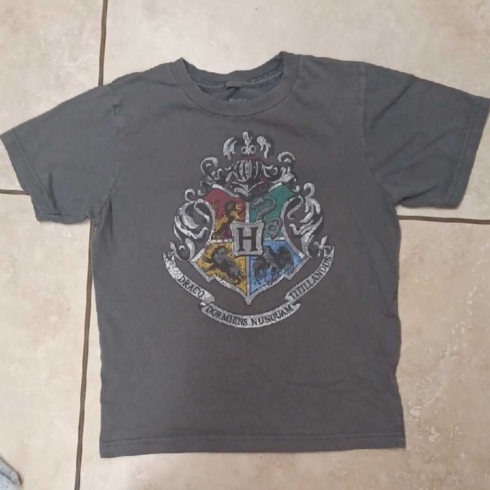 Harry Potter Hogwarts Crest Tee, Size Kids S